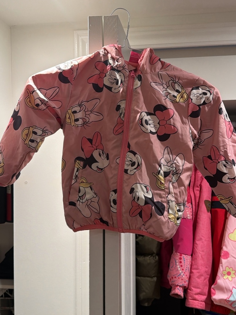 Disney Pink Minnie & Daisy Hooded Rain Jacket